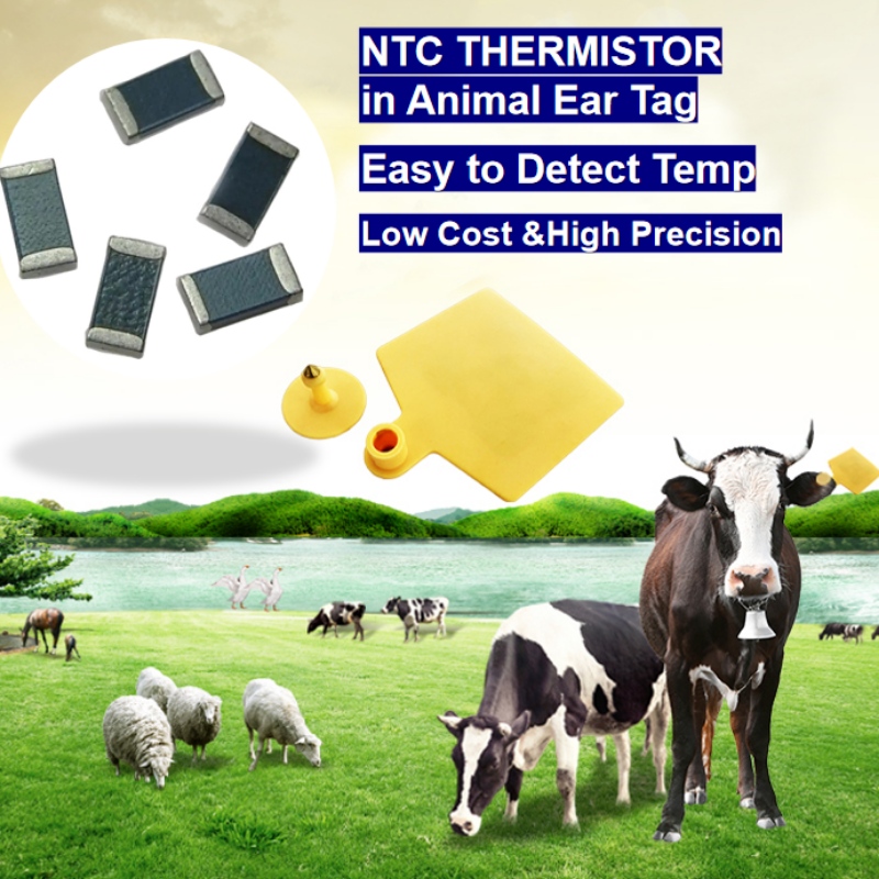 NTC termistor czujnik temperatury w ucha zwierząt Inteligentna hodowla